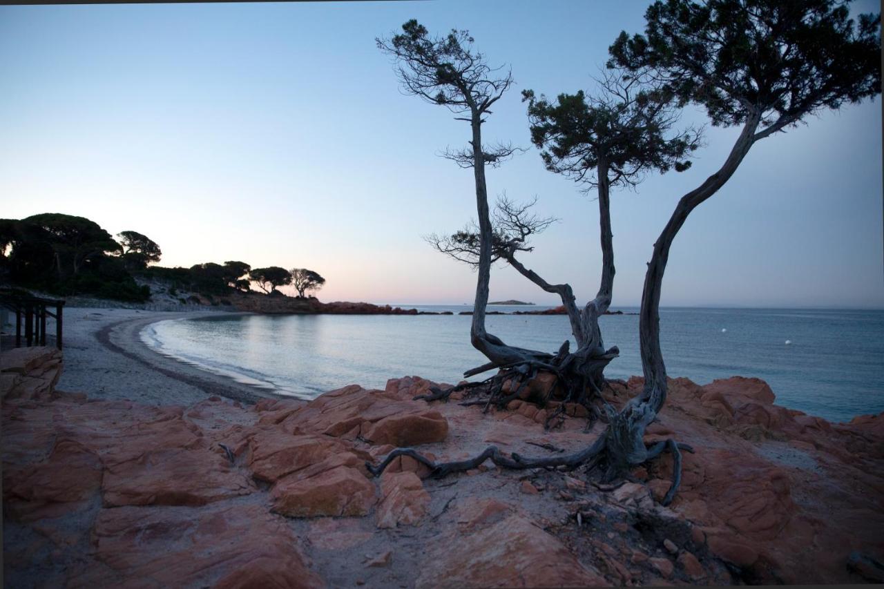 Résidence U LATONU - Palombaggia Porto-Vecchio (Corsica) Exterior foto