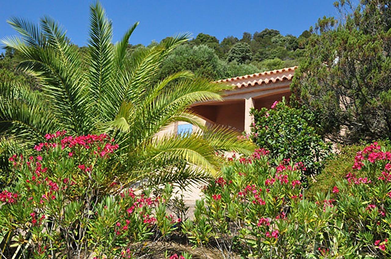 Résidence U LATONU - Palombaggia Porto-Vecchio (Corsica) Exterior foto
