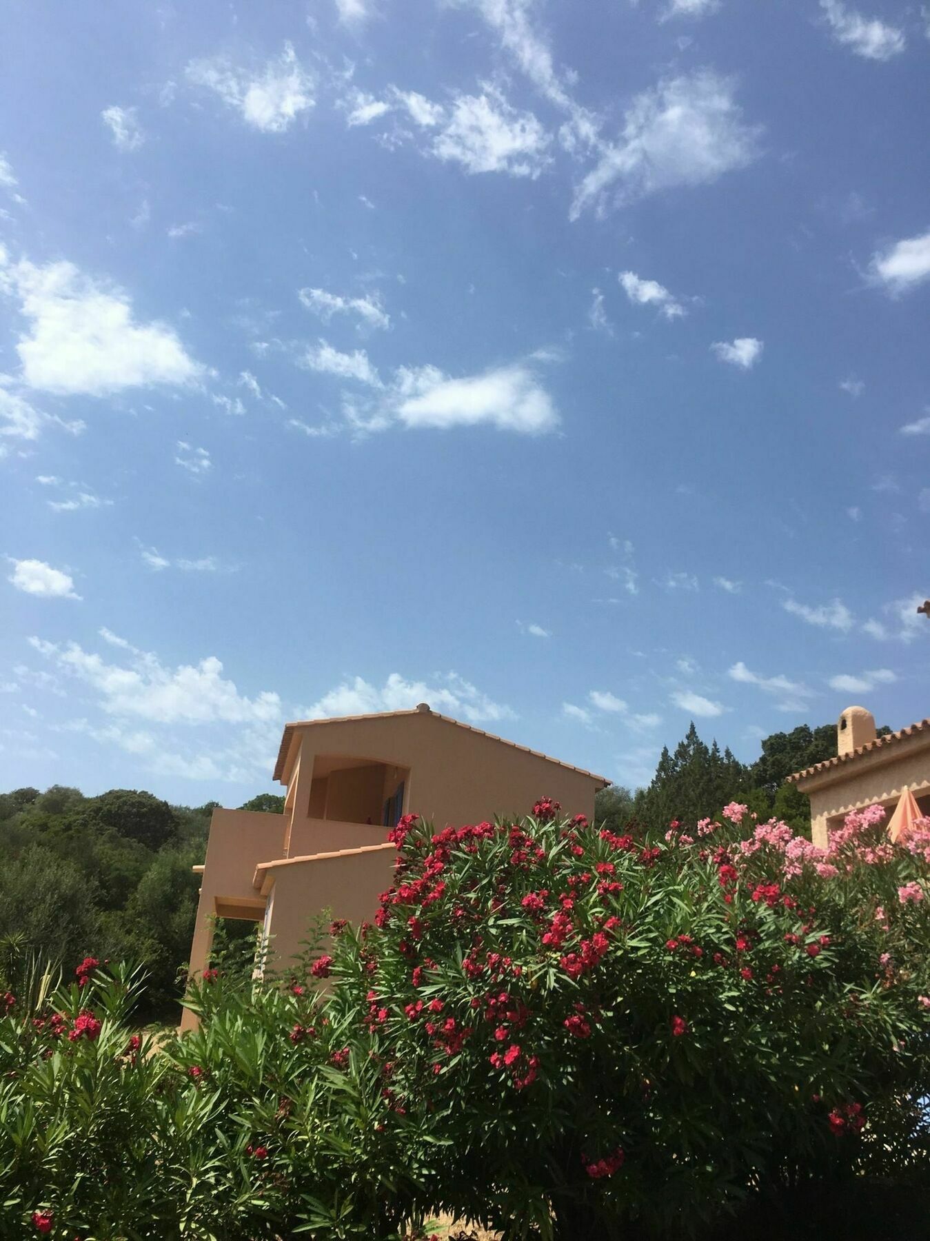 Résidence U LATONU - Palombaggia Porto-Vecchio (Corsica) Exterior foto